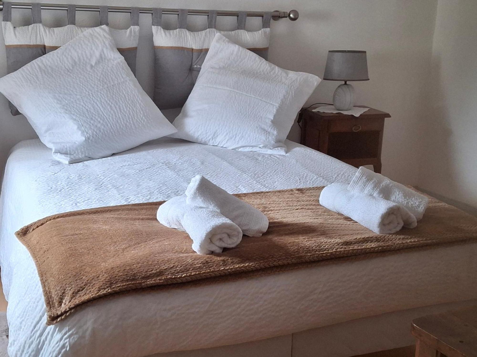 Escale Au Pied Du Chateau Amboise Kültér fotó