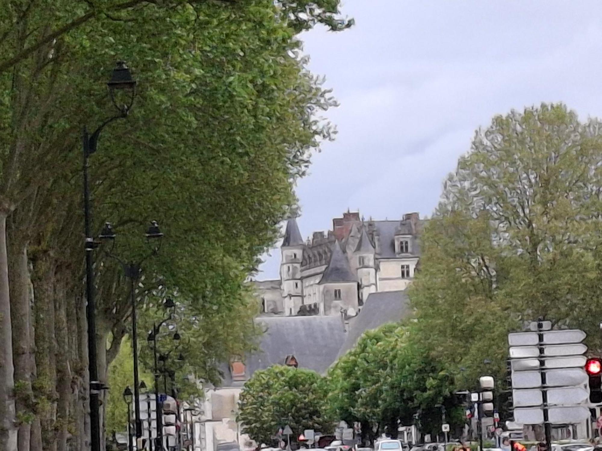 Escale Au Pied Du Chateau Amboise Kültér fotó