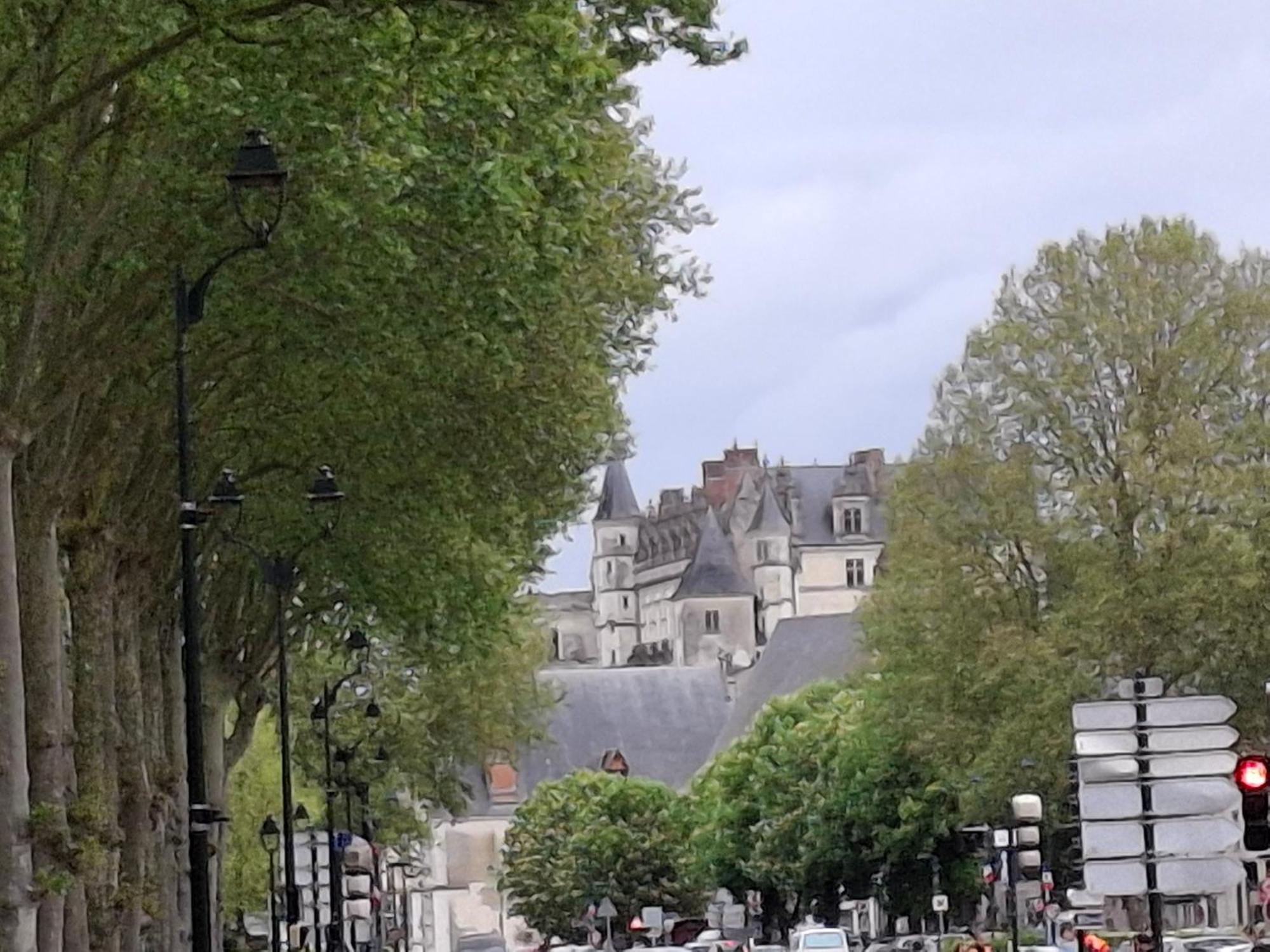 Escale Au Pied Du Chateau Apartman Amboise Kültér fotó